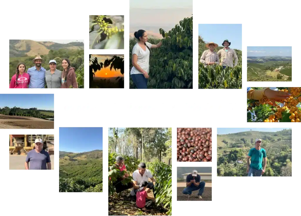 Produtores Parceiros