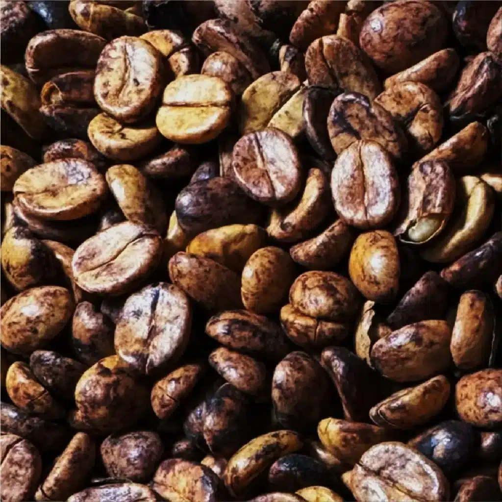 Pulped Natural / Cerejas Descascados